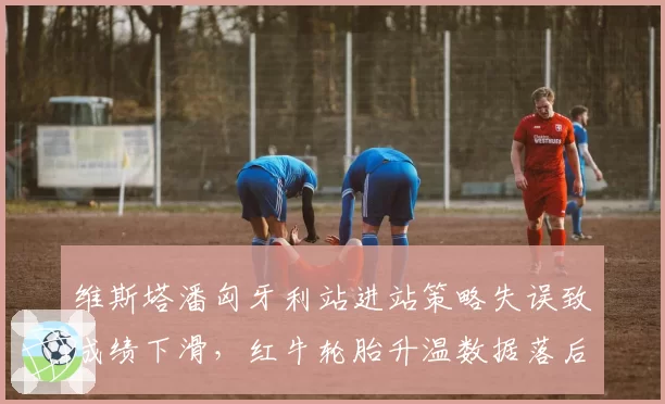 维斯塔潘匈牙利站进站策略失误致成绩下滑，红牛轮胎升温数据落后迈凯伦