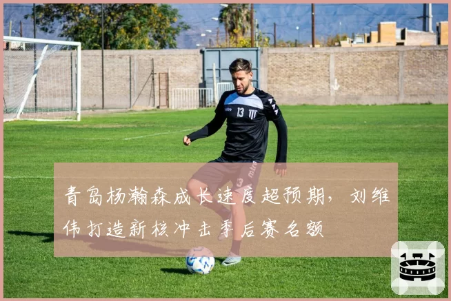 青岛杨瀚森成长速度超预期,刘维伟打造新核冲击季后赛名额
