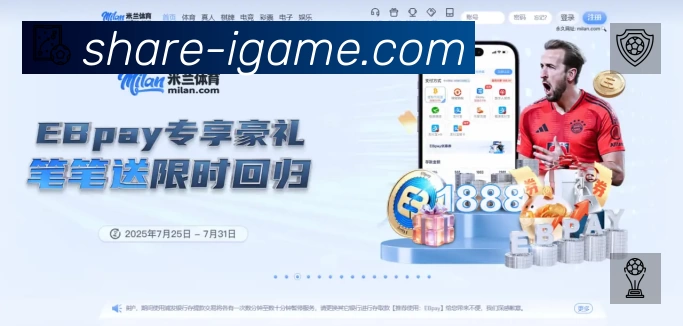 安全使用与支持流程